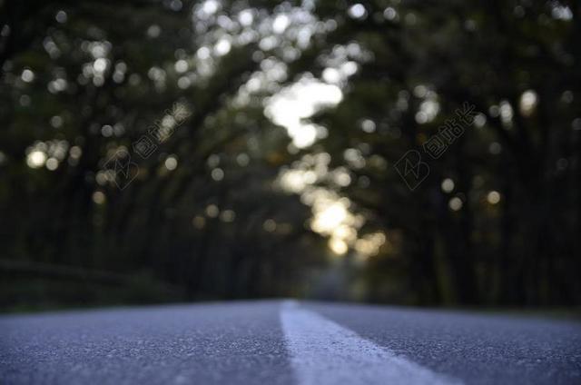 街 沥青 线 车道 路 材料 树 森林 特写 模糊的背景