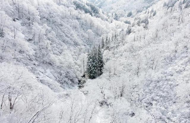 冬季景观白色雪山雪景背景图片