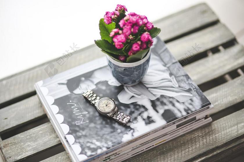 银 手表 报纸 杂志 花 粉红色 长寿