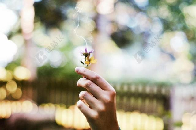 白色朦胧手拿鲜花意境背景图片