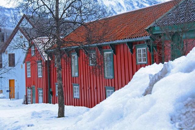雪山雪地城市建筑树枝红色房屋背景图片