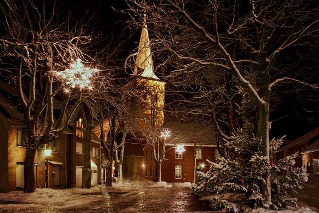 黑色夜晚雪景灯光树木枝叶教堂背景图片