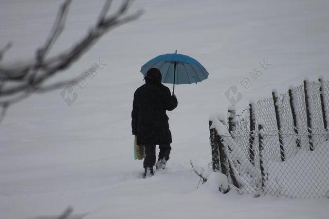 冬天 女子 户外 人 冷 雪 白 季节 妇女 树