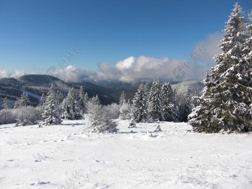 雪 雪景 黑色的森林 寒冬 FELDBERG