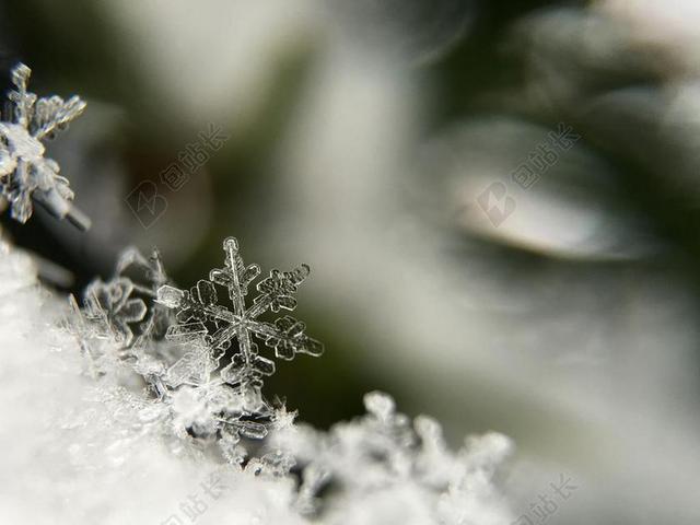 雪花 特写 霜 冻结 水晶 雪 冰 白 圣诞节 冷 片