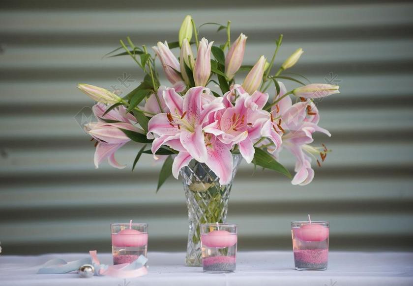 植物美丽瓶子里面的鲜花花束装饰植物背景图片