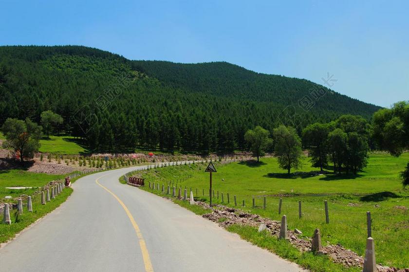 户外自然景观草地街道树木背景图片