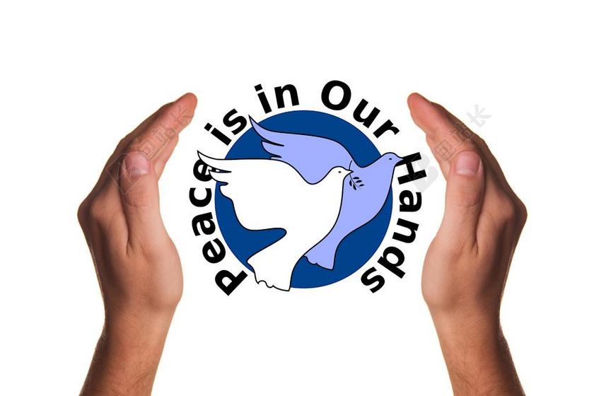 手势创意双手保护和平鸽等图案和平保护背景图片