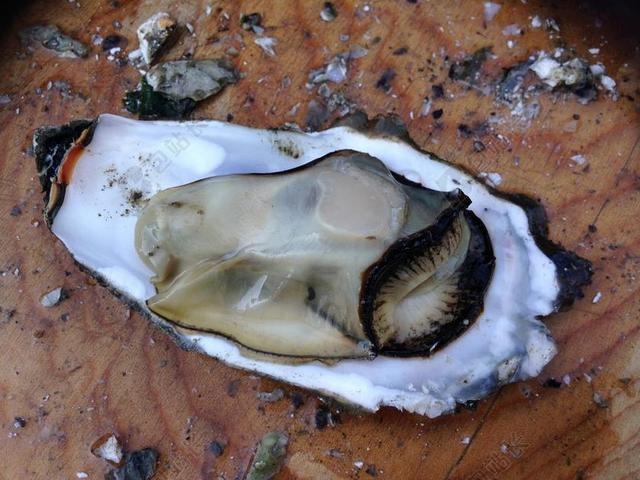 现代餐饮冷藏保鲜水产品背景图片