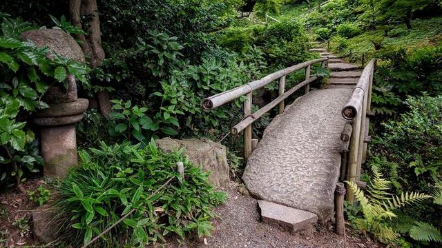 桥 日本 花园 景观 自然 公园 路径 园艺 户外 木