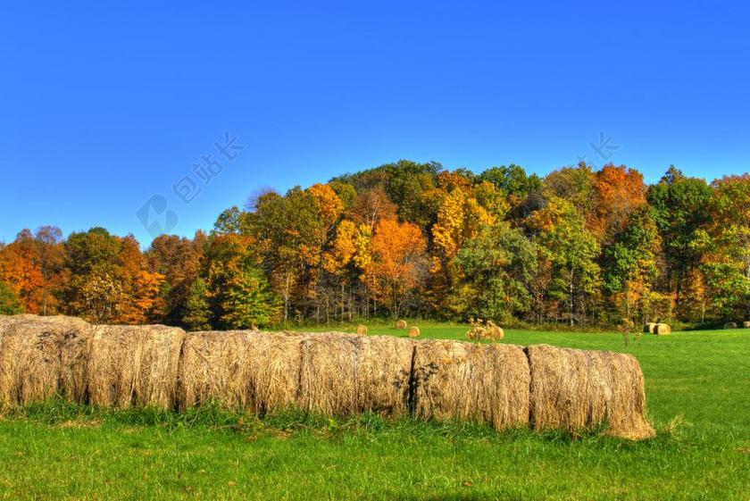 蓝绿自然那清新蓝天下的山野和草原山林自然背景图片