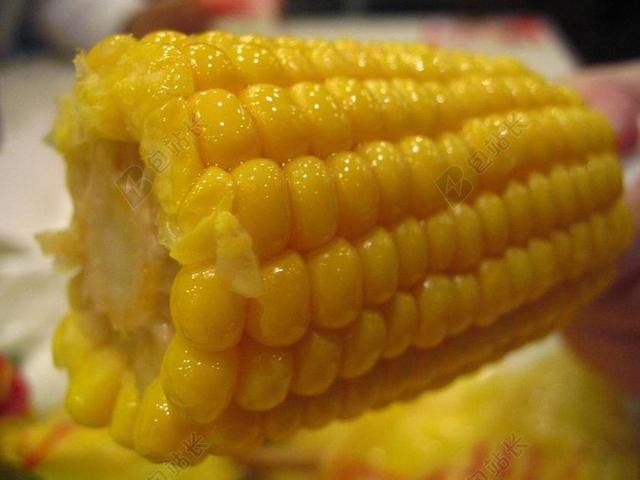 玉米 食品 肯德基玉米 黄色