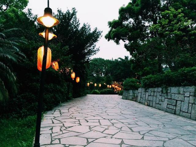 路灯 街景 傍晚