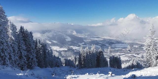IGLS 滑雪板 滑雪 雪 阿尔卑斯山 奥地利阿尔卑斯山 山