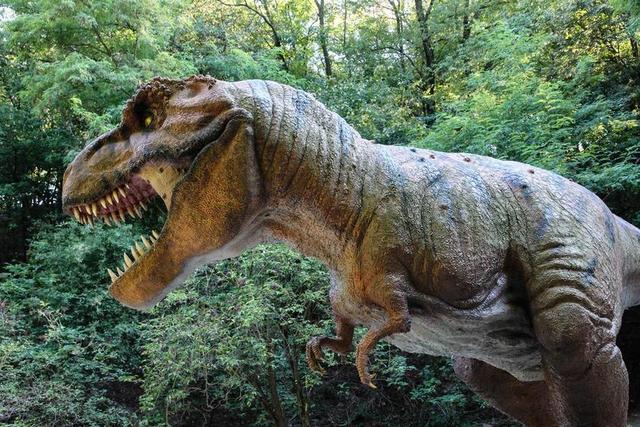 恐龙 TYRANOSAURUS 雕塑 恐惧