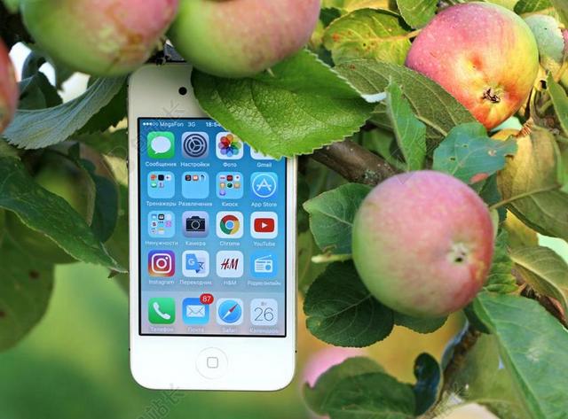 电话 IPHONE 小工具 苹果 苹果树 通话 信息 因特网