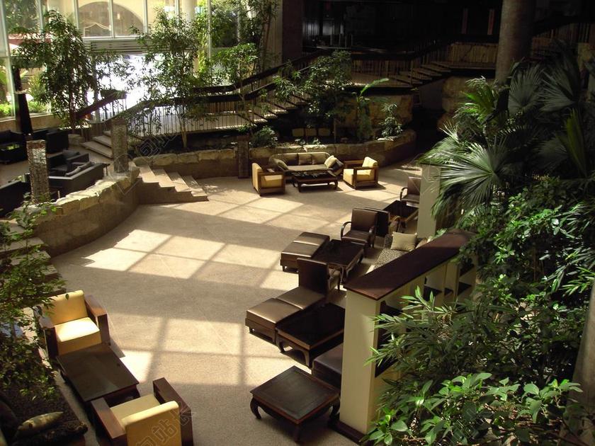 室内装潢设计酒店花卉盆景植物设计背景图片