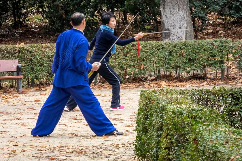 日本 武士刀 放松 日语 打太极 硕士 武术 第三年龄 公园