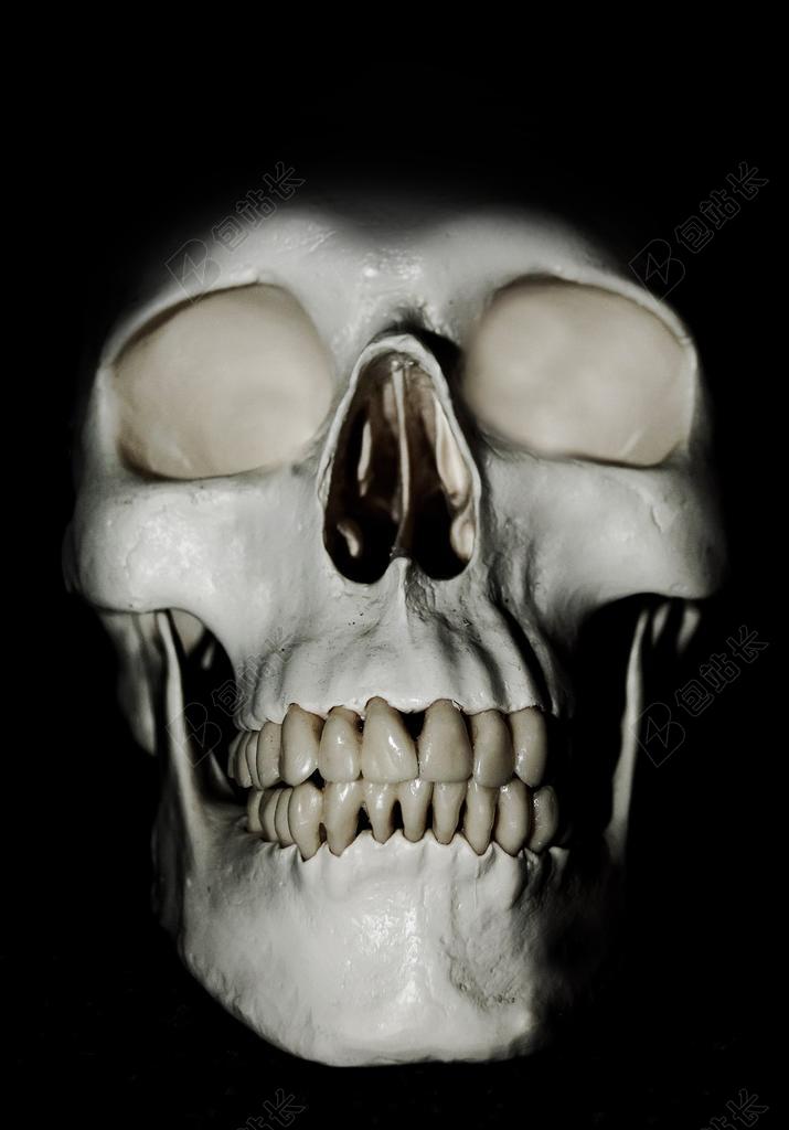 黑白人体写实白色的骷髅近照骷髅人体头部背景图片