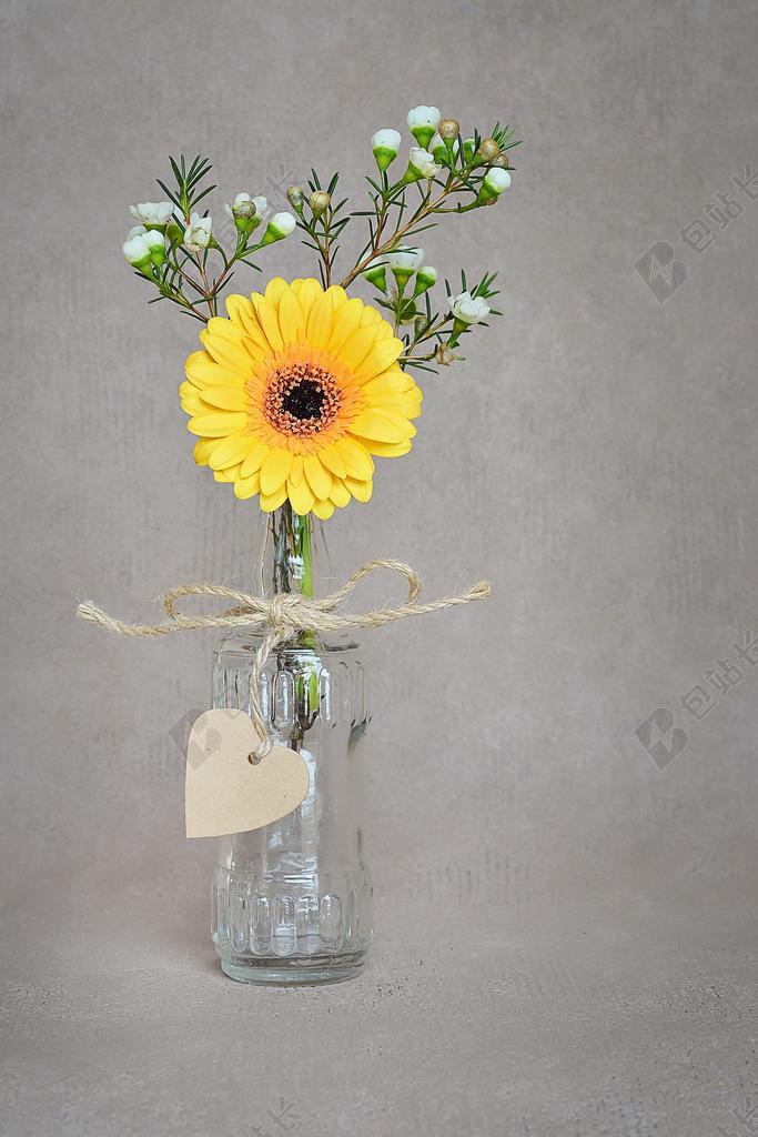 花 非洲菊 黄色 开花 黄色花 素馨花 花瓶 玻璃 心形吊坠