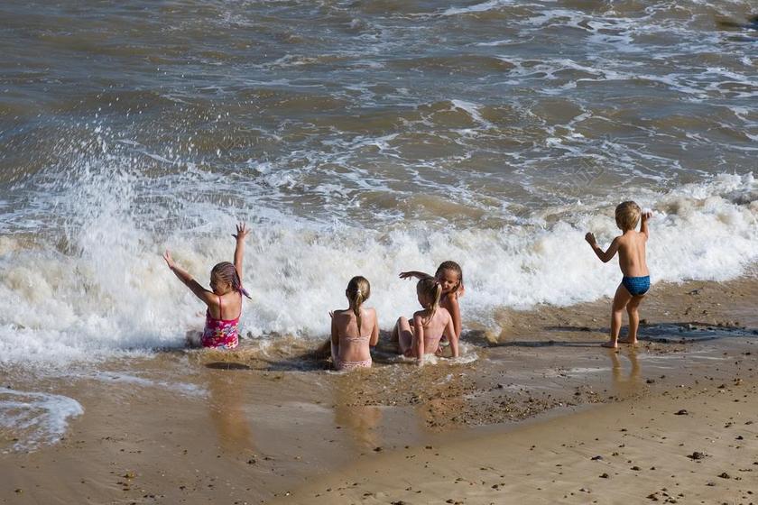 乐趣 海滩 儿童 冲浪 海边 快乐 太阳 孩子们 播放