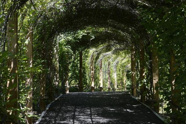 沈阳 植物园 走廊