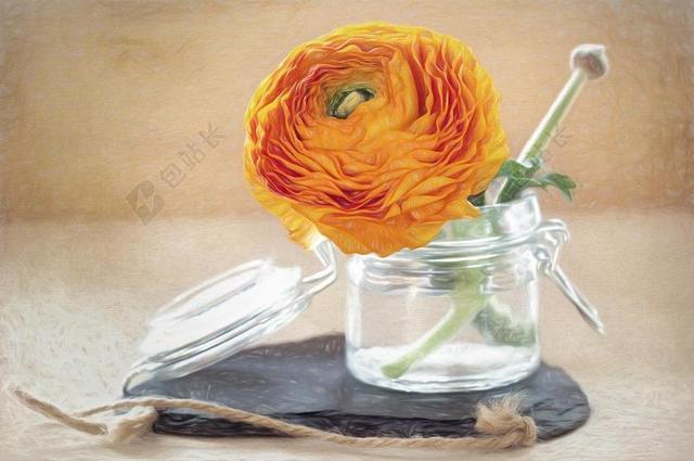 绘图 花 毛茛属植物 开花 橙 画 花瓶 玻璃 装饰