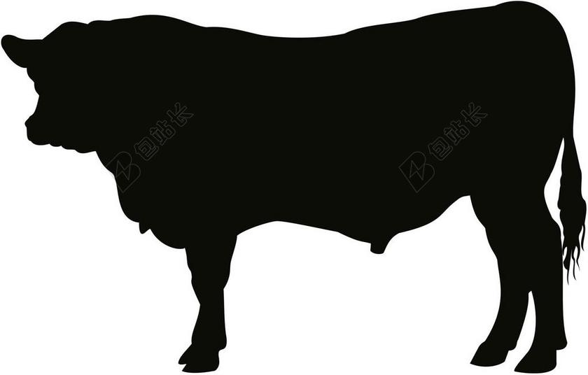 互联网科技公牛剪影背景图片