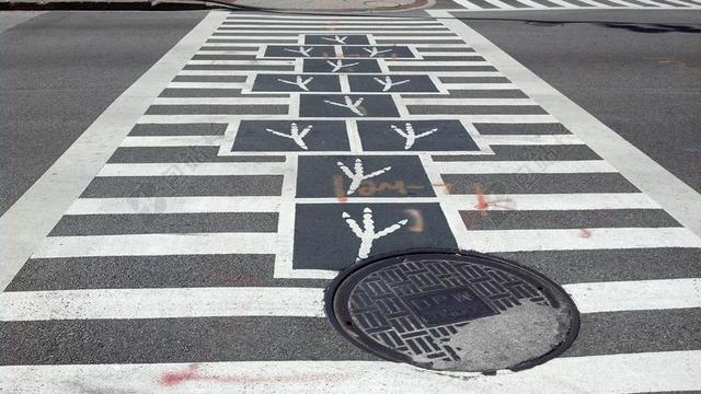 鸟类的脚 路口 走 斑马线 跳房子 街 路