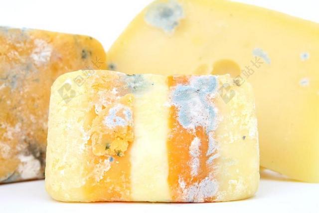 年龄 细菌 生物 生物学 蓝色 法国布里乳酪 甲虫，昆虫 奶酪