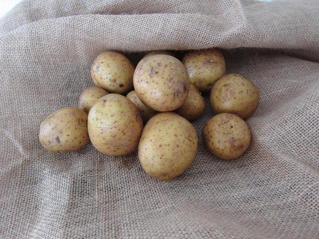 土豆 秋季 蔬菜园 自助 食品 麻布