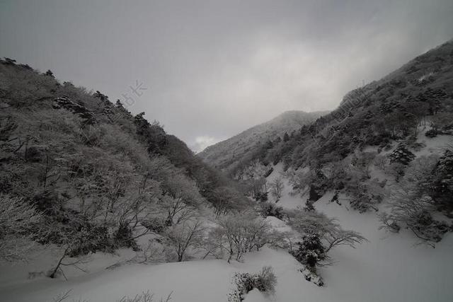 山 哈拉 SNOW 景观 冬季 雪 雪山 在寒冷中 冬山