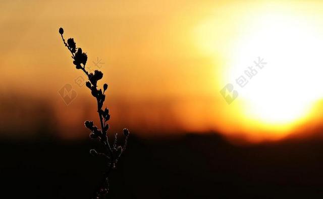 日落 太阳 傍晚的天空 云 ABENDSTIMMUNG 落山的太阳