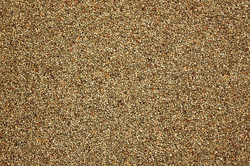 紫苏 模式 质地 大自然 粮食 纹理 农业 作物 食品