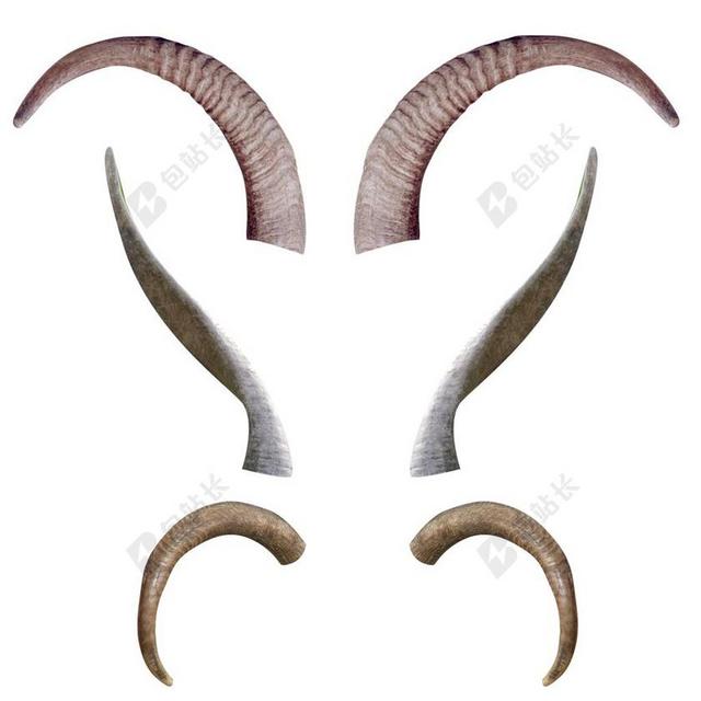 动物 牛角 鹿角 幻想 生物 恶魔 魔鬼