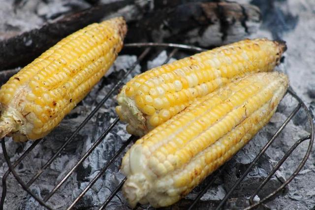 玉米 COB 烤 食品 蔬菜