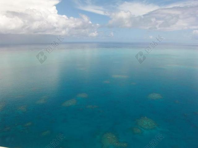 大堡礁 跳水 潜水 珊瑚 海洋 太平洋 顺利 反映 海表面