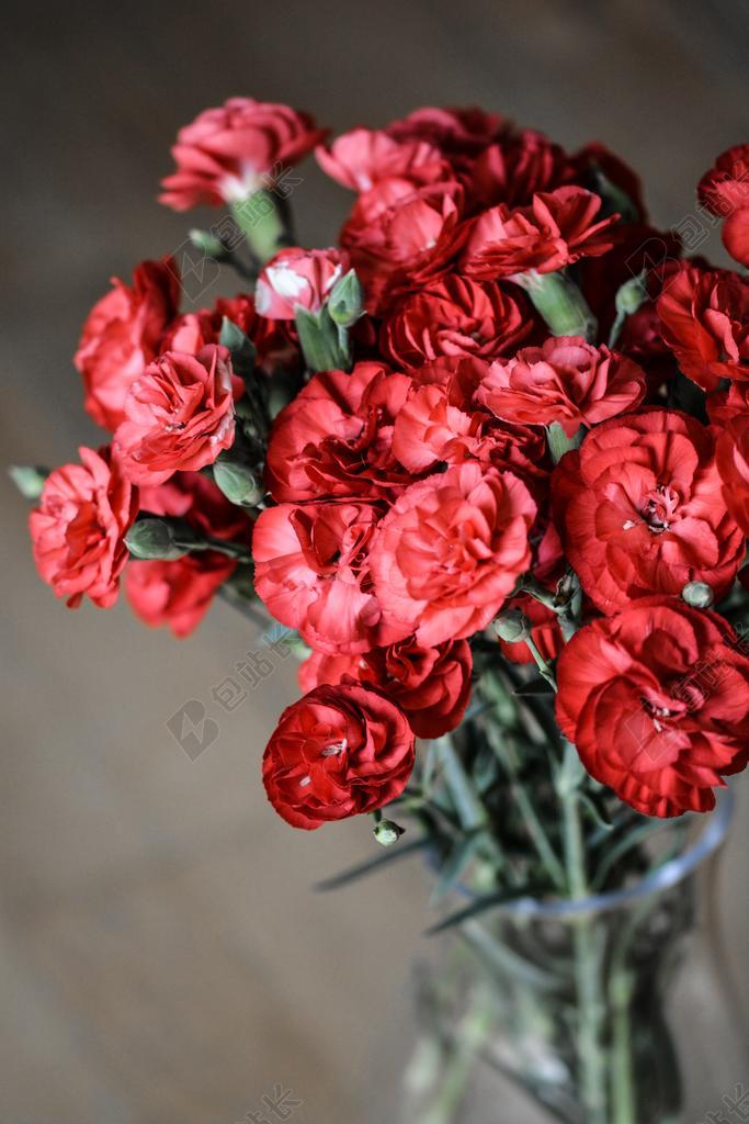 唯美康乃馨花束插花背景图片