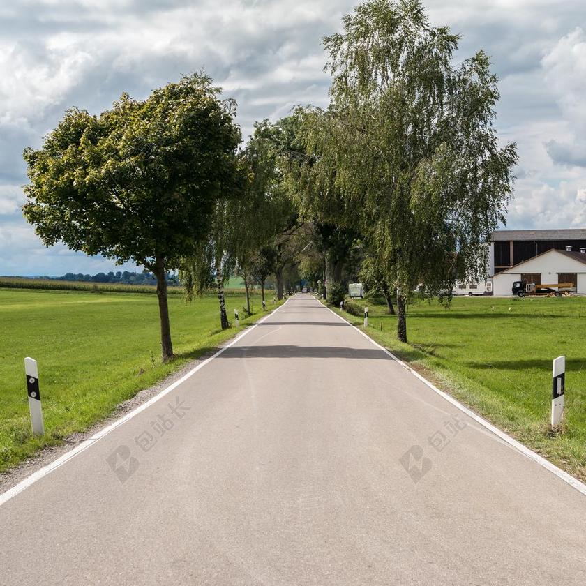 路 大道 树木 沥青 林荫大道 云 灰色 农场 巴伐利亚