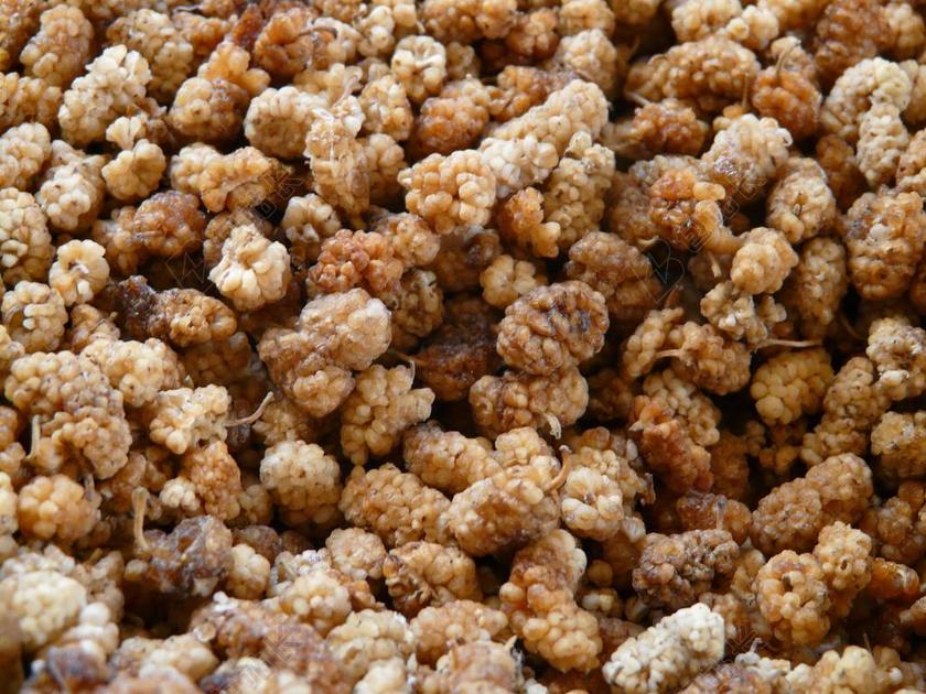 毛桃 桑 水果 营养早餐 食品 早餐 白桑 桑白皮 干