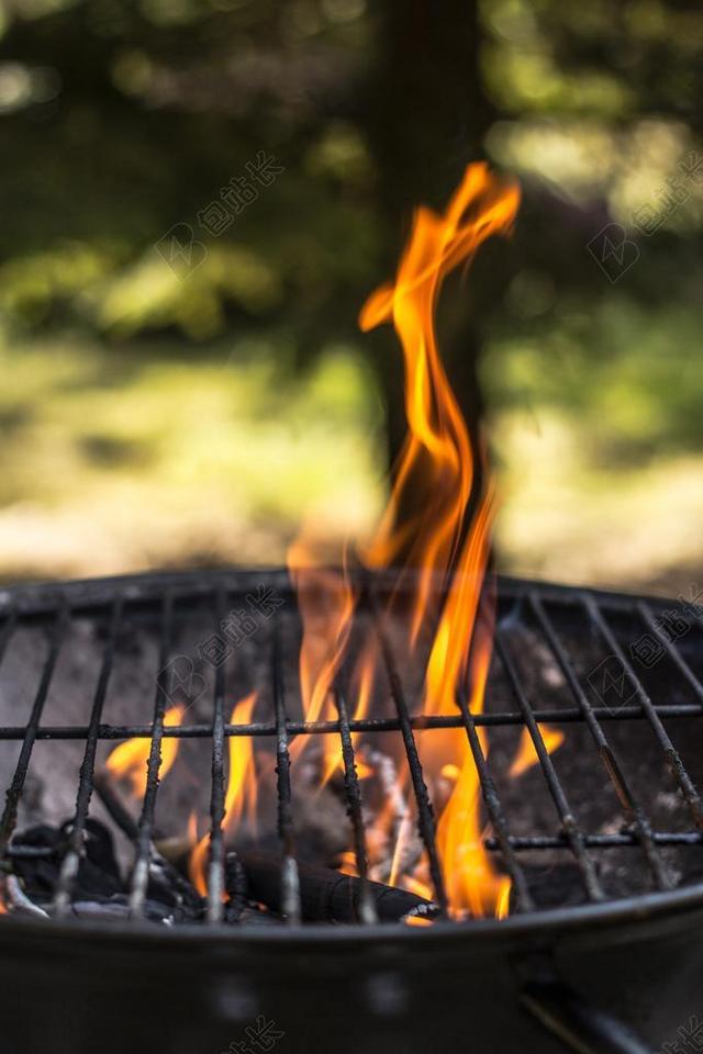 烧烤炉 季节在烤架上 火灾 空架 烧烤 起火燃烧 劈柴 煤