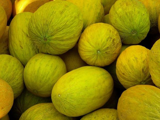 瓜 蜜瓜 吃水果 黄色