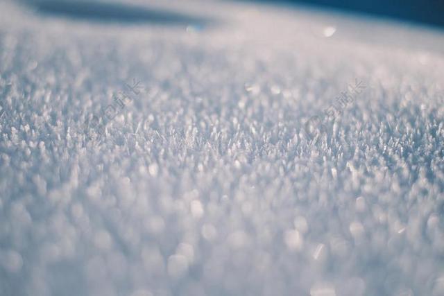 雪 降雪 片 霜 冷 冰 冰冷 冬天 圣诞节 度假 设计