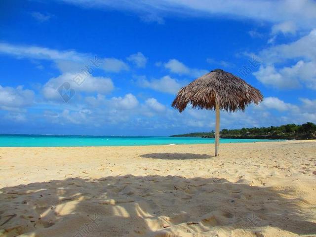 海滩 梧桐 遮阳伞 沙 海洋 热带 假期 海 伞 旅行