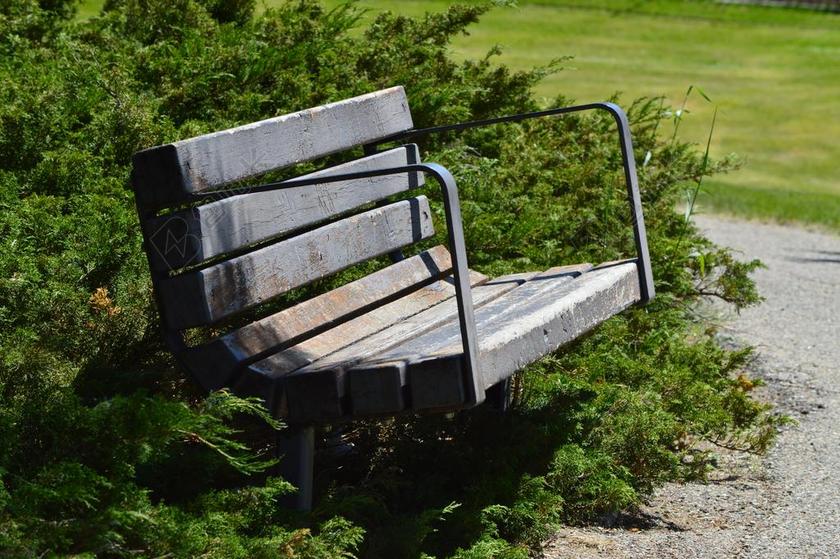 长凳 公园 座位 木材 木 户外 空 放松 乡村