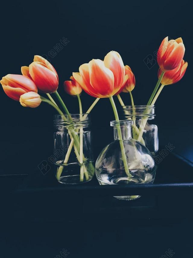 盛开 开花 装修 植物区系 鲜花 郁金香 花瓶