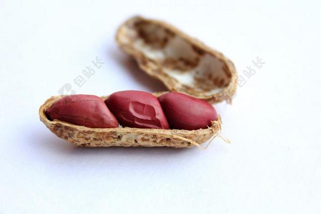 花生 封面 螺母 健康 好吃 食品 小吃 营养