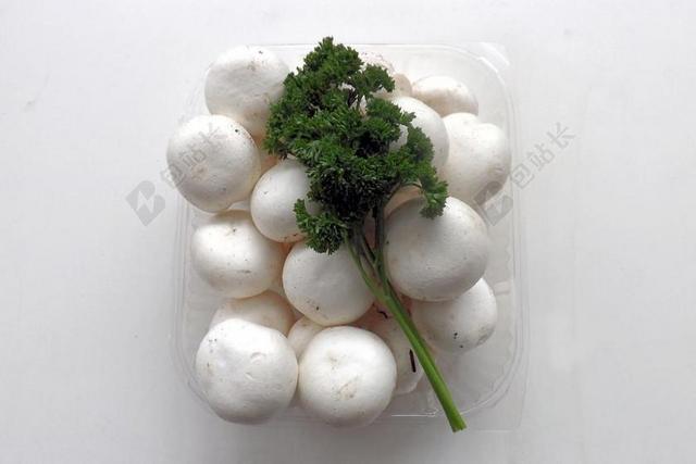 蘑菇 白 白蘑菇 食品