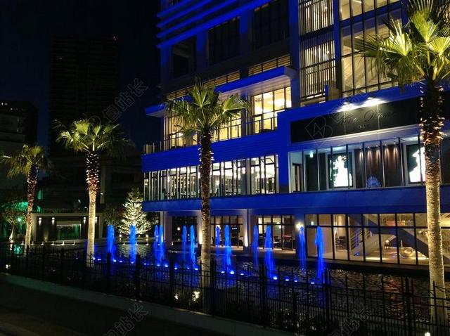 酒店 夜景 棕榈树 蓝色 热带 大阪 神户的夜景 喷泉