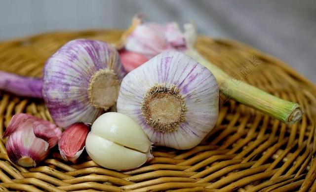大蒜 大量 气味 弗里施 食品